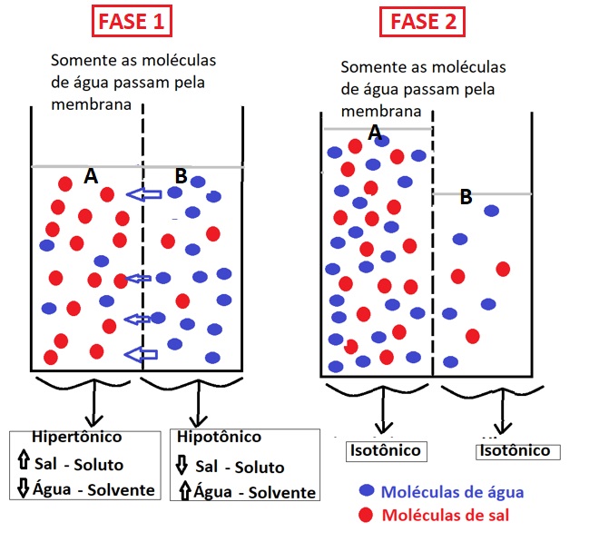 TRANSPORT definição e significado