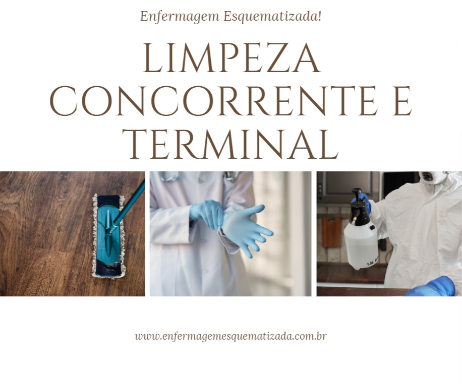 O que é limpeza concorrente e terminal?